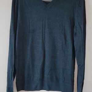 GAP Men's Teal V-Neck Sweater